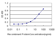 CREB1 / CREB Antibody - Detection limit for recombinant GST tagged CREB1 is approximately 1 ng/ml as a capture antibody.
