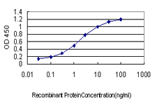 CRYM Antibody - Detection limit for recombinant GST tagged CRYM is approximately 0.03 ng/ml as a capture antibody.
