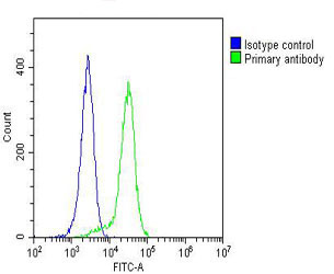 CYLD Antibody - Overlay histogram showing Hela cells stained with CYLD Antibody (green line). The cells were fixed with 2% paraformaldehyde (10 min) and then permeabilized with 90% methanol for 10 min. The cells were then icubated in 2% bovine serum albumin to block non-specific protein-protein interactions followed by the antibody (CYLD Antibody, 1:25 dilution) for 60 min at 37°C. The secondary antibody used was Goat-Anti-Mouse IgG, DyLight® 488 Conjugated Highly Cross-Adsorbed (OJ192088) at 1/200 dilution for 40 min at 37°C. Isotype control antibody (blue line) was mouse IgG2a (1µg/1x10^6 cells) used under the same conditions. Acquisition of >10, 000 events was performed.