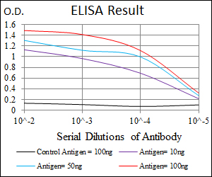 CYP1A1 Antibody - Red: Control Antigen (100ng); Purple: Antigen (10ng); Green: Antigen (50ng); Blue: Antigen (100ng);