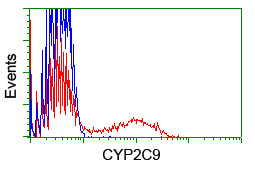CYP2C9 / Cytochrome P450 2C9 Antibody - HEK293T cells transfected with either overexpress plasmid (Red) or empty vector control plasmid (Blue) were immunostained by anti-CYP2C9 antibody, and then analyzed by flow cytometry.