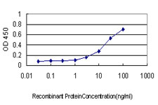 CYTH1 / Cytohesin-1 Antibody - Detection limit for recombinant GST tagged PSCD1 is approximately 1 ng/ml as a capture antibody.