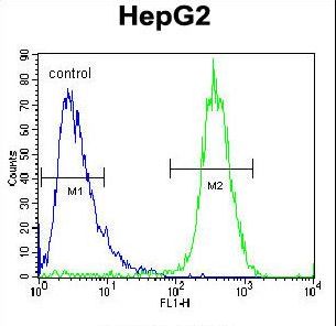 DAP12 Antibody - TYROBP Antibody flow cytometry of HepG2 cells (right histogram) compared to a negative control cell (left histogram). FITC-conjugated goat-anti-rabbit secondary antibodies were used for the analysis.