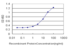 DARS Antibody - Detection limit for recombinant GST tagged DARS is approximately 0.3 ng/ml as a capture antibody.