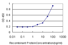 DCN / Decorin Antibody - Detection limit for recombinant GST tagged DCN is approximately 1 ng/ml as a capture antibody.