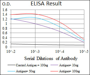 DCX / Doublecortin Antibody - Red: Control Antigen (100ng); Purple: Antigen (10ng); Green: Antigen (50ng); Blue: Antigen (100ng);