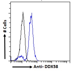 DDX58 / RIG-1 / RIG-I Antibody - DDX58 / RIG-1 / RIG-I antibody flow cytometric analysis of paraformaldehyde fixed U937 cells (blue line), permeabilized with 0.5% Triton. Primary incubation 1hr (10ug/ml) followed by Alexa Fluor 488 secondary antibody (2ug/ml). IgG control: Unimmunized goat IgG (black line) followed by Alexa Fluor 488 secondary antibody.