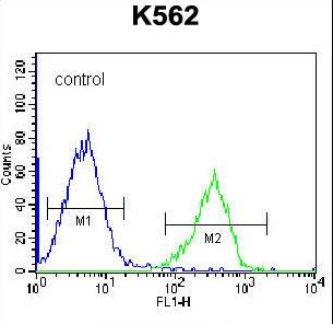 DEPDC5 Antibody - DEPD5 Antibody flow cytometry of K562 cells (right histogram) compared to a negative control cell (left histogram). FITC-conjugated goat-anti-rabbit secondary antibodies were used for the analysis.