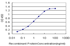 DMPK / DM Antibody - Detection limit for recombinant GST tagged DMPK is approximately 0.03 ng/ml as a capture antibody.