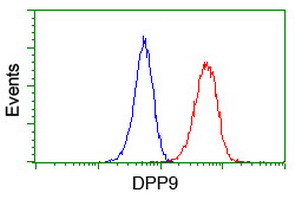 DPP9 Antibody - Flow cytometry of Jurkat cells, using anti-DPP9 antibody (Red), compared to a nonspecific negative control antibody (Blue).
