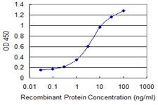 E4F1 / E4F Antibody - Detection limit for recombinant GST tagged E4F1 is 0.1 ng/ml as a capture antibody.