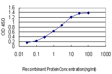 EBF3 / COE3 Antibody - Detection limit for recombinant GST tagged EBF3 is approximately 0.03 ng/ml as a capture antibody.