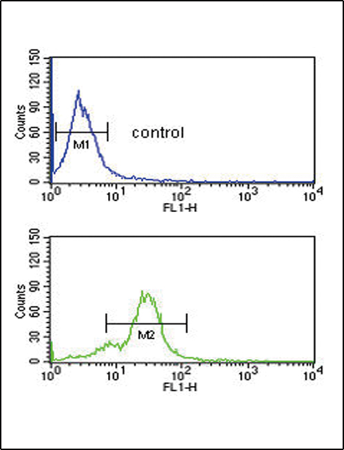 EDNRB / Endothelin B Receptor Antibody - EDNRB Antibody flow cytometry of MDA-MB435 cells (bottom histogram) compared to a negative control cell (top histogram). FITC-conjugated goat-anti-rabbit secondary antibodies were used for the analysis.