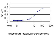 EIF2B2 Antibody - Detection limit for recombinant GST tagged EIF2B2 is approximately 0.3 ng/ml as a capture antibody.