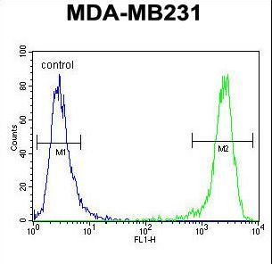 EMX1 Antibody - EMX1 Antibody flow cytometry of MDA-MB231 cells (right histogram) compared to a negative control cell (left histogram). FITC-conjugated goat-anti-rabbit secondary antibodies were used for the analysis.