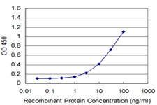 EN1 / Engrailed Antibody - Detection limit for recombinant GST tagged EN1 is approximately 1 ng/ml as a capture antibody.