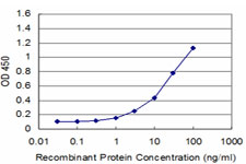 EN1 / Engrailed Antibody - Detection limit for recombinant GST tagged EN1 is approximately 1 ng/ml as a capture antibody.