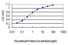 ENO3 / Enolase 3 Antibody - Detection limit for recombinant GST tagged ENO3 is approximately 0.03 ng/ml as a capture antibody.