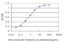 EP300 / p300 Antibody - Detection limit for recombinant GST tagged EP300 is approximately 0.03 ng/ml as a capture antibody.