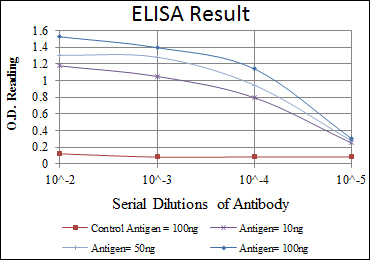 EPHA10 / EPH Receptor A10 Antibody - Red: Control Antigen (100ng); Purple: Antigen (10ng); Green: Antigen (50ng); Blue: Antigen (100ng);