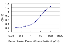 EPHB6 / EPH Receptor B6 Antibody - Detection limit for recombinant GST tagged EPHB6 is approximately 0.3 ng/ml as a capture antibody.