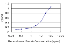ERBB3 / HER3 Antibody - Detection limit for recombinant GST tagged ERBB3 is approximately 0.3 ng/ml as a capture antibody.