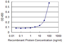 ERBB3 / HER3 Antibody - Detection limit for recombinant GST tagged ERBB3 is 3 ng/ml as a capture antibody.