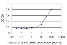 ERBB3 / HER3 Antibody - Detection limit for recombinant GST tagged ERBB3 is approximately 3 ng/ml as a capture antibody.