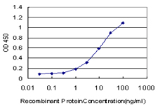ERN1 / IRE1 Antibody - Detection limit for recombinant GST tagged ERN1 is approximately 0.3 ng/ml as a capture antibody.