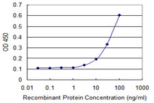 ERP44 Antibody - Detection limit for recombinant GST tagged TXNDC4 is 1 ng/ml as a capture antibody.