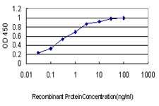EWSR1 / EWS Antibody - Detection limit for recombinant GST tagged EWSR1 is approximately 0.03 ng/ml as a capture antibody.