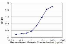 FADS1 Antibody - Detection limit for recombinant GST tagged FADS1 is approximately 0.03 ng/ml as a capture antibody.