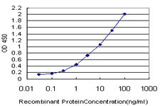 FAM50A Antibody - Detection limit for recombinant GST tagged FAM50A is approximately 0.1 ng/ml as a capture antibody.