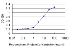 FBXO11 Antibody - Detection limit for recombinant GST tagged FBXO11 is approximately 0.1 ng/ml as a capture antibody.
