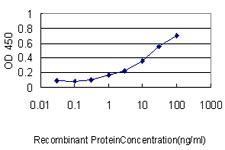 FGG / Fibrinogen Gamma Antibody - Detection limit for recombinant GST tagged FGG is approximately 0.3 ng/ml as a capture antibody.