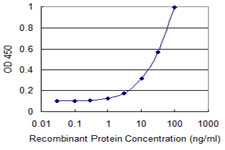 FH / Fumarase / MCL Antibody - Detection limit for recombinant GST tagged FH is 0.3 ng/ml as a capture antibody.