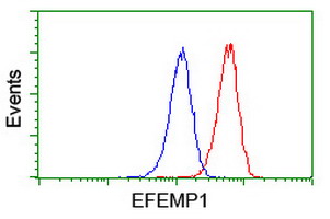 Fibulin-3 / EFEMP1 Antibody - Flow cytometry of Jurkat cells, using anti-EFEMP1 antibody (Red), compared to a nonspecific negative control antibody (Blue).