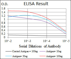 FN1 / Fibronectin Antibody - Black: Control Antigen (100ng); Purple: Antigen (10ng); Blue: Antigen (50ng); Red: Antigen (100ng);
