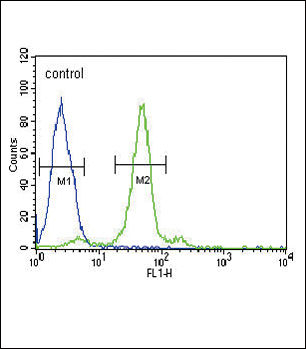 FOLR1 / Folate Receptor Alpha Antibody - FOLR1 Antibody flow cytometric analysis of Hela cells (right histogram) compared to a negative control cell (left histogram).FITC-conjugated goat-anti-rabbit secondary antibodies were used for the analysis.