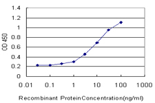 FOXO3 / FOXO3A Antibody - Detection limit for recombinant GST tagged FOXO3A is approximately 0.3 ng/ml as a capture antibody.