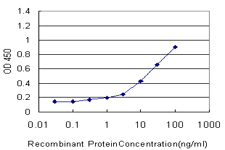 FOXO3 / FOXO3A Antibody - Detection limit for recombinant GST tagged FOXO3A is approximately 1 ng/ml as a capture antibody.