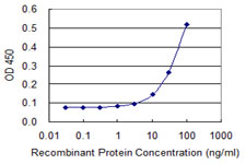 FOXQ1 Antibody - Detection limit for recombinant GST tagged FOXQ1 is 3 ng/ml as a capture antibody.