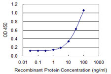 FOXQ1 Antibody - Detection limit for recombinant GST tagged FOXQ1 is 0.3 ng/ml as a capture antibody.