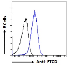 FTCD / 58K Golgi Protein Antibody - 58KGolgi protein(Internal)/FTCD Antibody Flow cytometric analysis of paraformaldehyde fixed HepG2 cells (blue line), permeabilized with 0.5% Triton. Primary incubation 1hr (10ug/ml) followed by Alexa Fluor 488 secondary antibody (1ug/ml). IgG control: Unimmunized goat IgG (black line) followed by Alexa Fluor 488 secondary antibody.