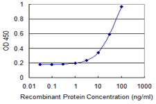 FZR1 Antibody - Detection limit for recombinant GST tagged FZR1 is 1 ng/ml as a capture antibody.