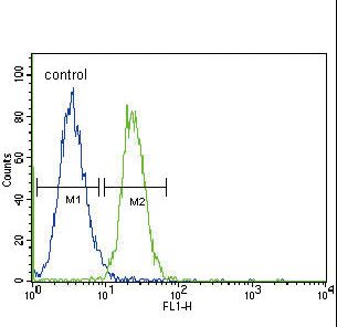 GADD45A / GADD45 Antibody - GADD45A Antibody flow cytometry of K562 cells (right histogram) compared to a negative control cell (left histogram). FITC-conjugated goat-anti-rabbit secondary antibodies were used for the analysis.