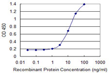 GALNT1 Antibody - Detection limit for recombinant GST tagged GALNT1 is 0.3 ng/ml as a capture antibody.