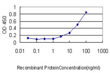 Gasdermin D / GSDMD Antibody - Detection limit for recombinant GST tagged GSDMDC1 is approximately 0.3 ng/ml as a capture antibody.