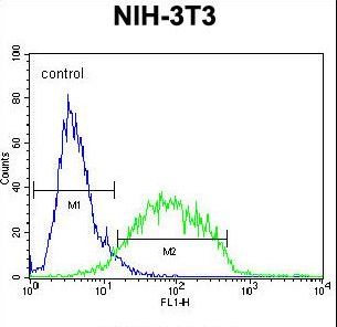 GCNT3 Antibody - GCNT3 Antibody flow cytometry of NIH-3T3 cells (right histogram) compared to a negative control cell (left histogram). FITC-conjugated goat-anti-rabbit secondary antibodies were used for the analysis.