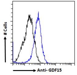 GDF15 Antibody - Goat Anti-GDF15 Antibody Flow cytometric analysis of paraformaldehyde fixed HeLa cells (blue line), permeabilized with 0.5% Triton. Primary incubation 1hr (10ug/ml) followed by Alexa Fluor 488 secondary antibody (1ug/ml). IgG control: Unimmunized goat IgG (black line) followed by Alexa Fluor 488 secondary antibody.